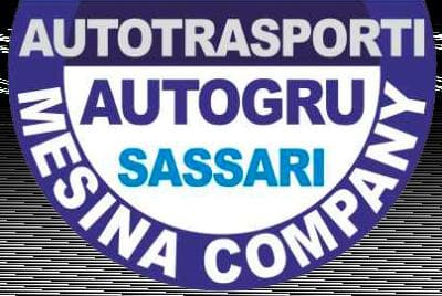 Autotrasporti Autogru Mesina Company