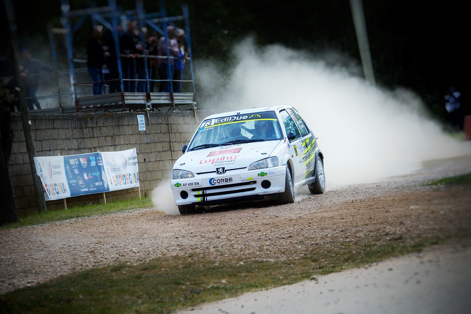 Auto rally in azione